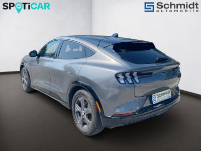 Ford Mustang Mach-E Gebrauchtwagen