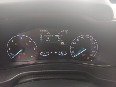 Ford Tourneo Connect Gebrauchtwagen