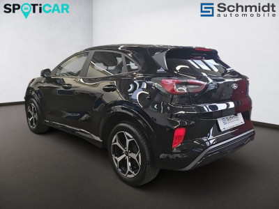 Ford Puma Gebrauchtwagen Ford Puma Gebrauchtwagen