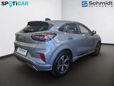 Ford Puma Gebrauchtwagen Ford Puma Gebrauchtwagen
