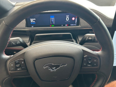 Ford Mustang Mach-E Gebrauchtwagen Ford Mustang Mach-E Gebrauchtwagen