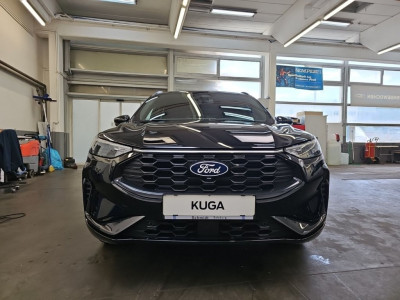 Ford Kuga Vorführwagen