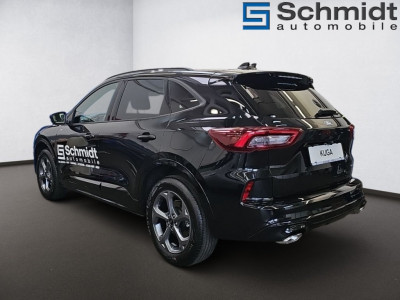 Ford Kuga Vorführwagen