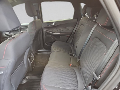 Ford Kuga Vorführwagen