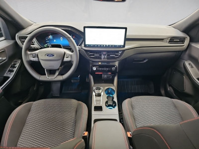 Ford Kuga Vorführwagen