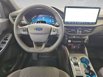 Ford Kuga Vorführwagen