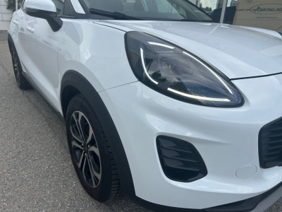 Ford Puma Gebrauchtwagen Ford Puma Gebrauchtwagen