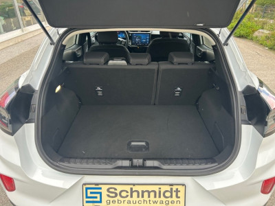 Ford Puma Gebrauchtwagen Ford Puma Gebrauchtwagen