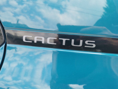 Citroën C4 Cactus Gebrauchtwagen