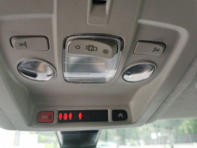 Citroën C4 Cactus Gebrauchtwagen