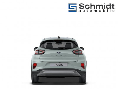 Ford Puma Gebrauchtwagen Ford Puma Gebrauchtwagen