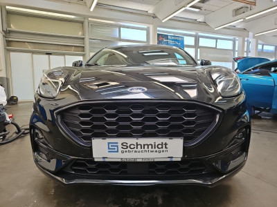 Ford Puma Gebrauchtwagen Ford Puma Gebrauchtwagen