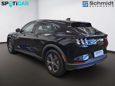 Ford Mustang Mach-E Gebrauchtwagen Ford Mustang Mach-E Gebrauchtwagen