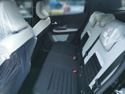 Citroën C3 Aircross Tageszulassung