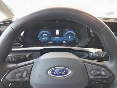 Ford Tourneo Connect Gebrauchtwagen