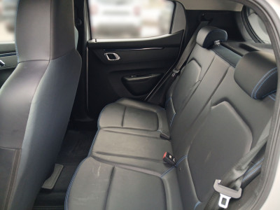 Dacia Spring Gebrauchtwagen