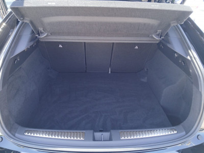 Renault Rafale Gebrauchtwagen