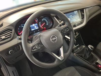 Opel Grandland X Gebrauchtwagen