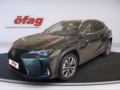 Lexus UX Gebrauchtwagen