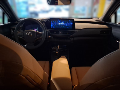 Lexus UX Gebrauchtwagen