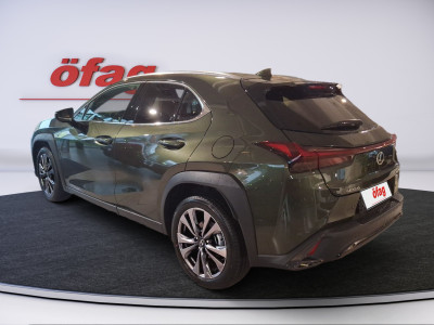 Lexus UX Gebrauchtwagen