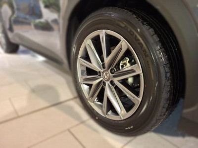 Lexus LBX Gebrauchtwagen Lexus LBX Gebrauchtwagen