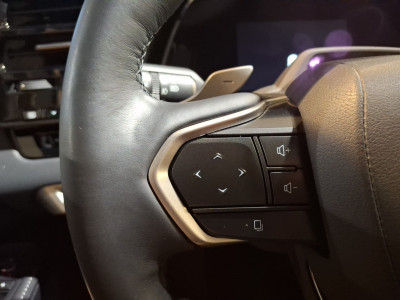 Lexus RX Gebrauchtwagen