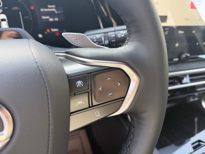 Lexus RX Gebrauchtwagen