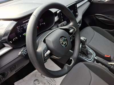 Skoda Fabia Gebrauchtwagen