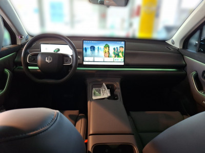 Leapmotor C10 Gebrauchtwagen