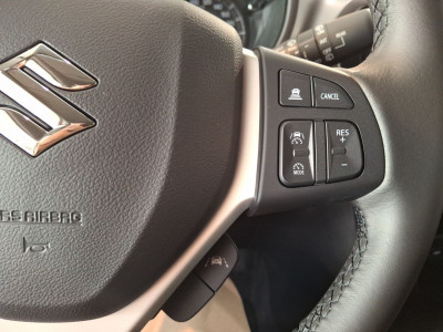 Suzuki Vitara Gebrauchtwagen Suzuki Vitara Gebrauchtwagen