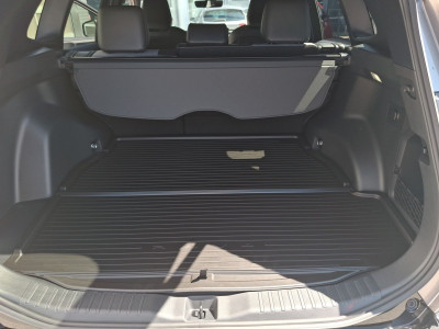 Toyota RAV4 Neuwagen Toyota RAV4 Neuwagen