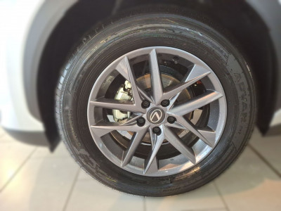 Lexus LBX Gebrauchtwagen Lexus LBX Gebrauchtwagen