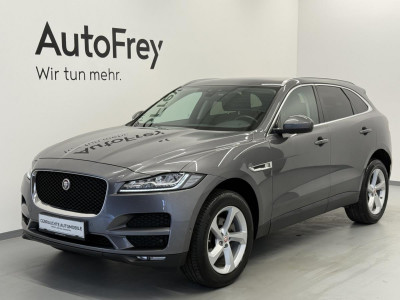 Jaguar F-Pace Gebrauchtwagen
