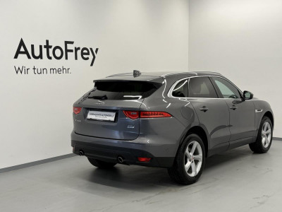 Jaguar F-Pace Gebrauchtwagen