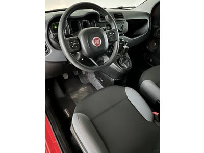 Fiat Panda Gebrauchtwagen