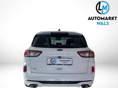 Ford Kuga Gebrauchtwagen