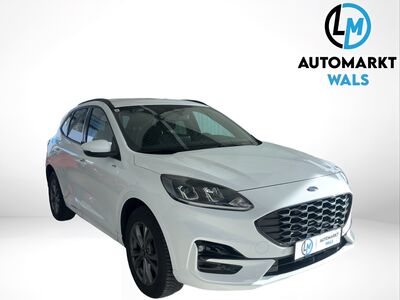 Ford Kuga Gebrauchtwagen