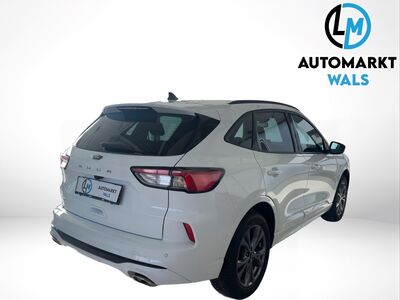 Ford Kuga Gebrauchtwagen