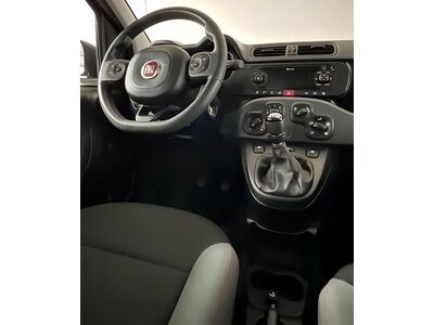 Fiat Panda Gebrauchtwagen Fiat Panda Gebrauchtwagen