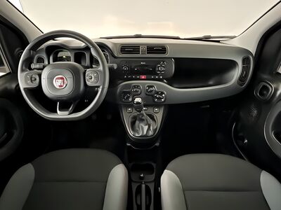 Fiat Panda Gebrauchtwagen Fiat Panda Gebrauchtwagen