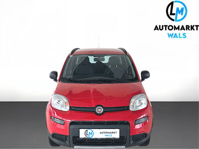 Fiat Panda Gebrauchtwagen Fiat Panda Gebrauchtwagen