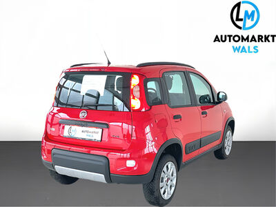 Fiat Panda Gebrauchtwagen Fiat Panda Gebrauchtwagen