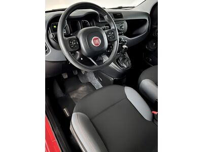 Fiat Panda Gebrauchtwagen Fiat Panda Gebrauchtwagen