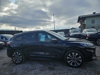 Ford Kuga Gebrauchtwagen Ford Kuga Gebrauchtwagen