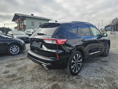 Ford Kuga Gebrauchtwagen Ford Kuga Gebrauchtwagen