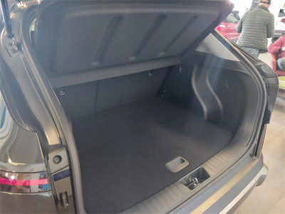 Hyundai Kona Vorführwagen