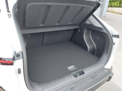 Hyundai Kona Vorführwagen