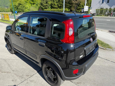 Fiat Panda Gebrauchtwagen