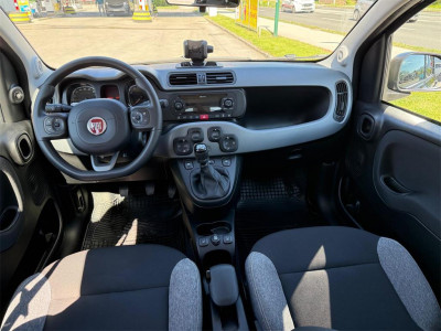 Fiat Panda Gebrauchtwagen